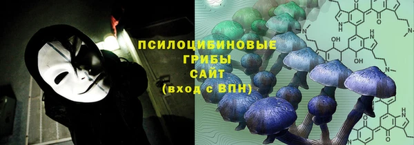 меф Карпинск