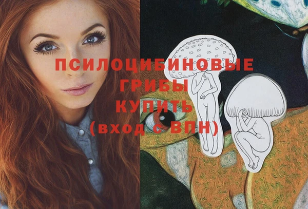 синтетический гашиш Каменка
