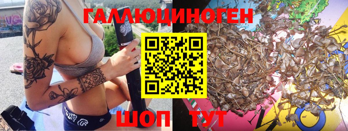 Радужный  Псилоцибиновые грибы GOLDEN TEACHER  Вход с VPN 